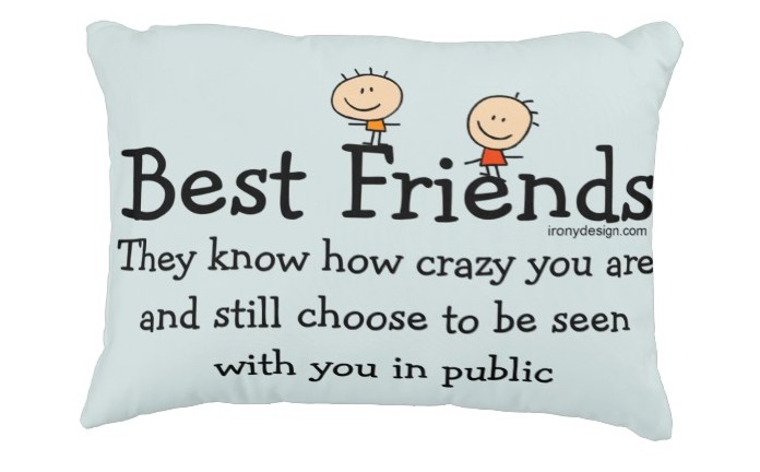 best_friends_decorative_pillow