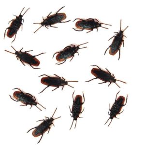 Fake Cockroaches
