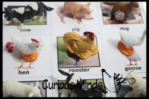 Make Them Know Their Animals With Miniature Animals And Their Matching Cards